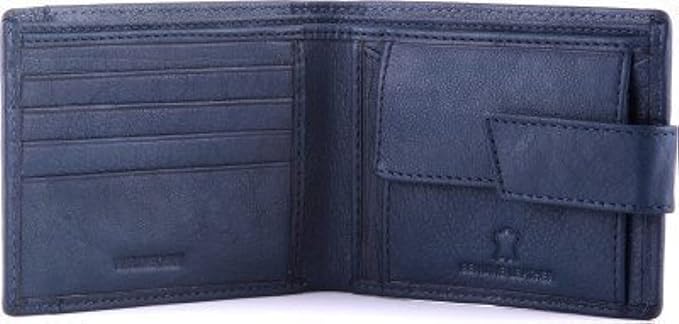 WILDHORN Blue Men's Wallet