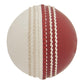 Omtex Men's Cricket Ball